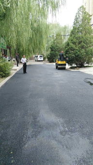 市政工程管理處 集中養護，筑牢城市運行基石